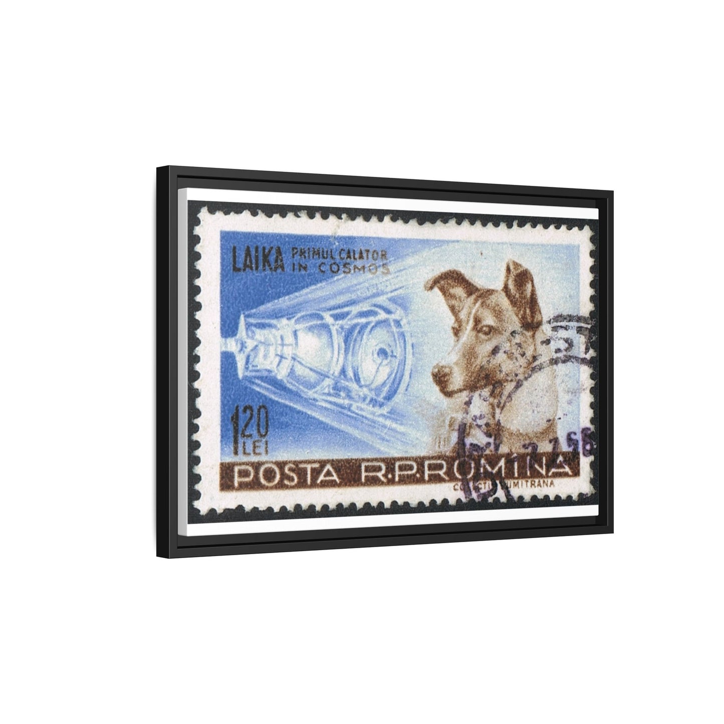 Laika Postcard Stamp Frame: A Tribute to the First Space Pioneer!