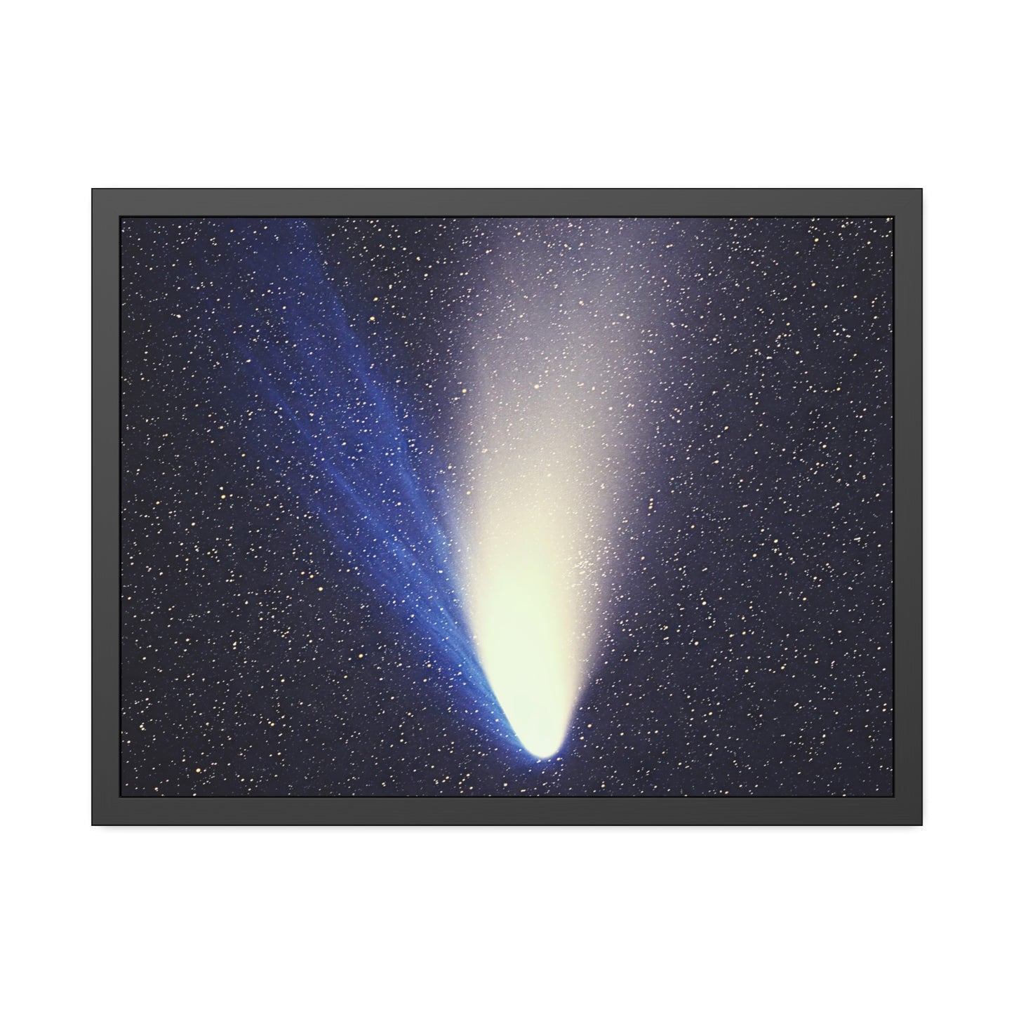 Comet Hale-Bopp Framed Paper Poster