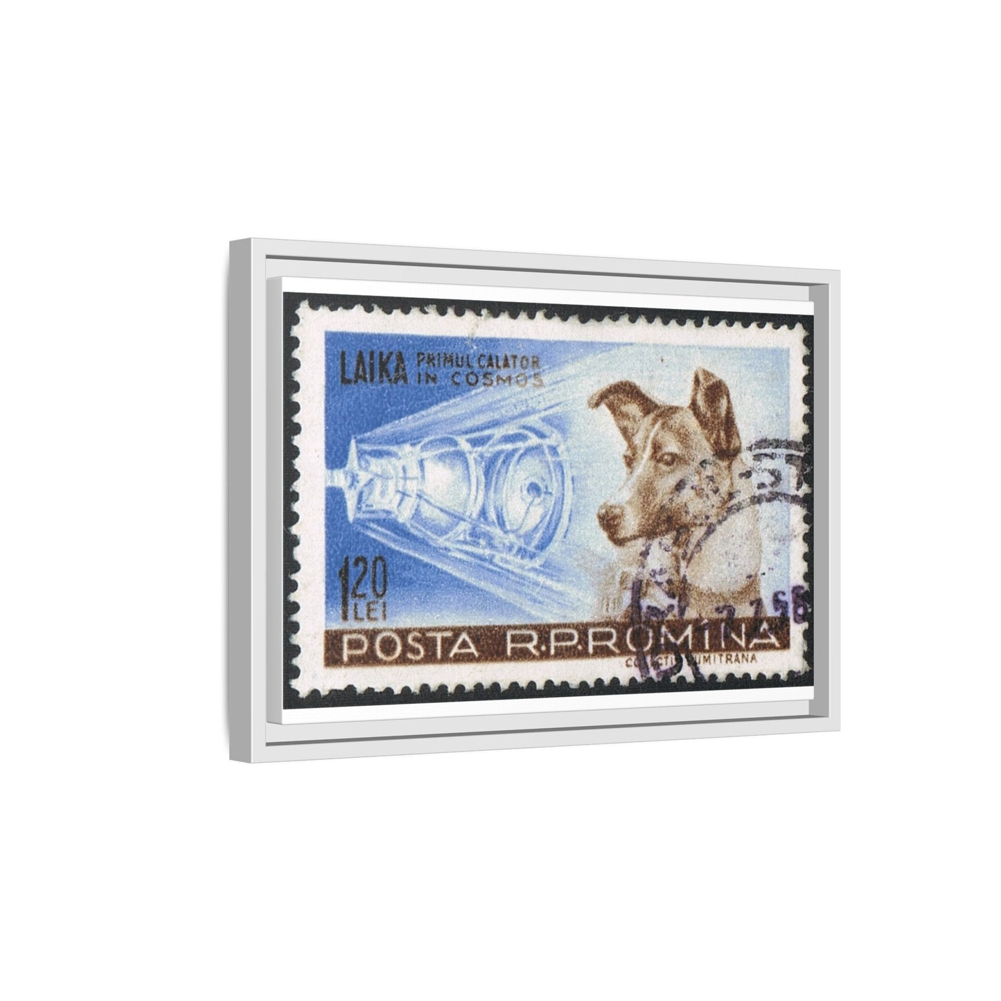 Laika Postcard Stamp Frame: A Tribute to the First Space Pioneer!