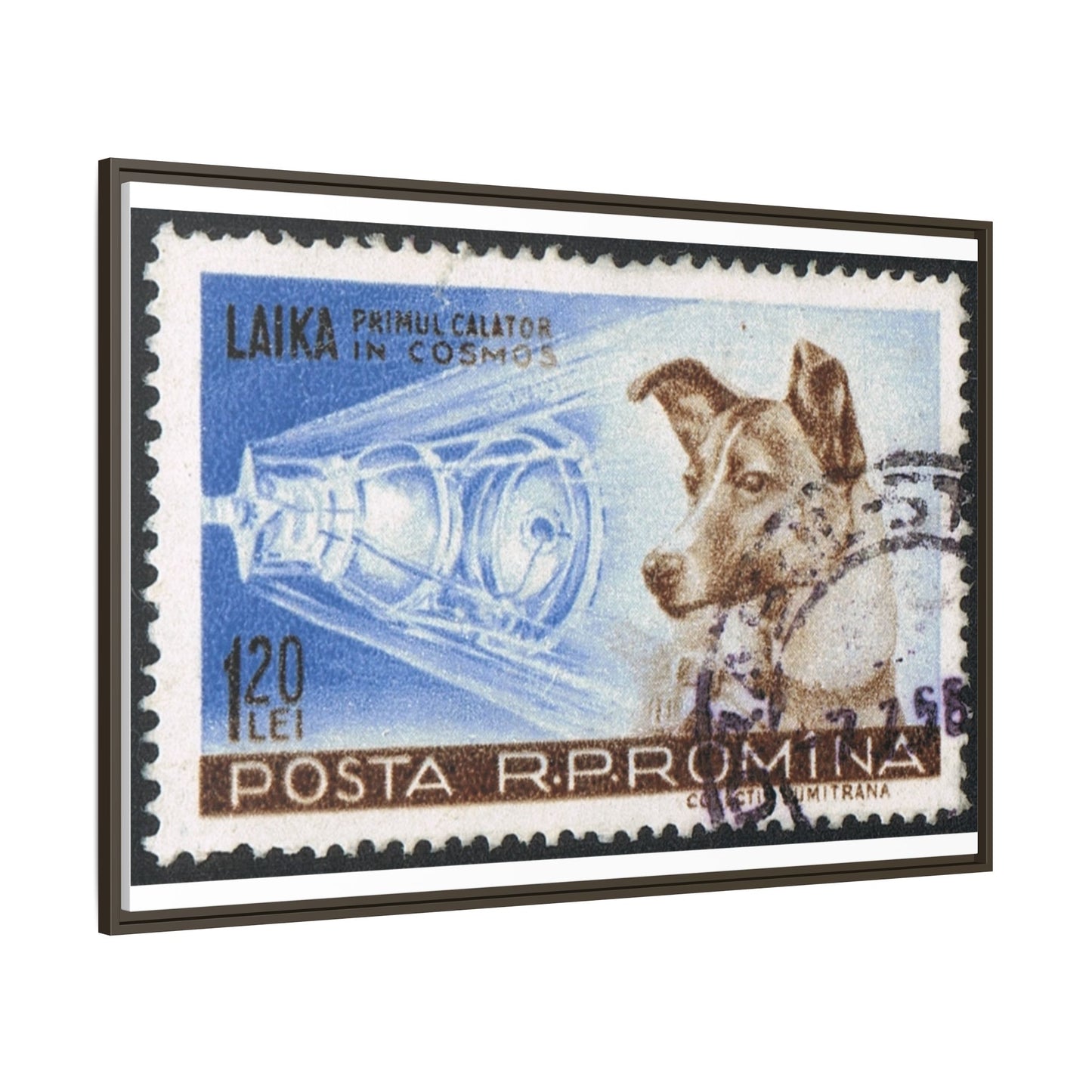 Laika Postcard Stamp Frame: A Tribute to the First Space Pioneer!