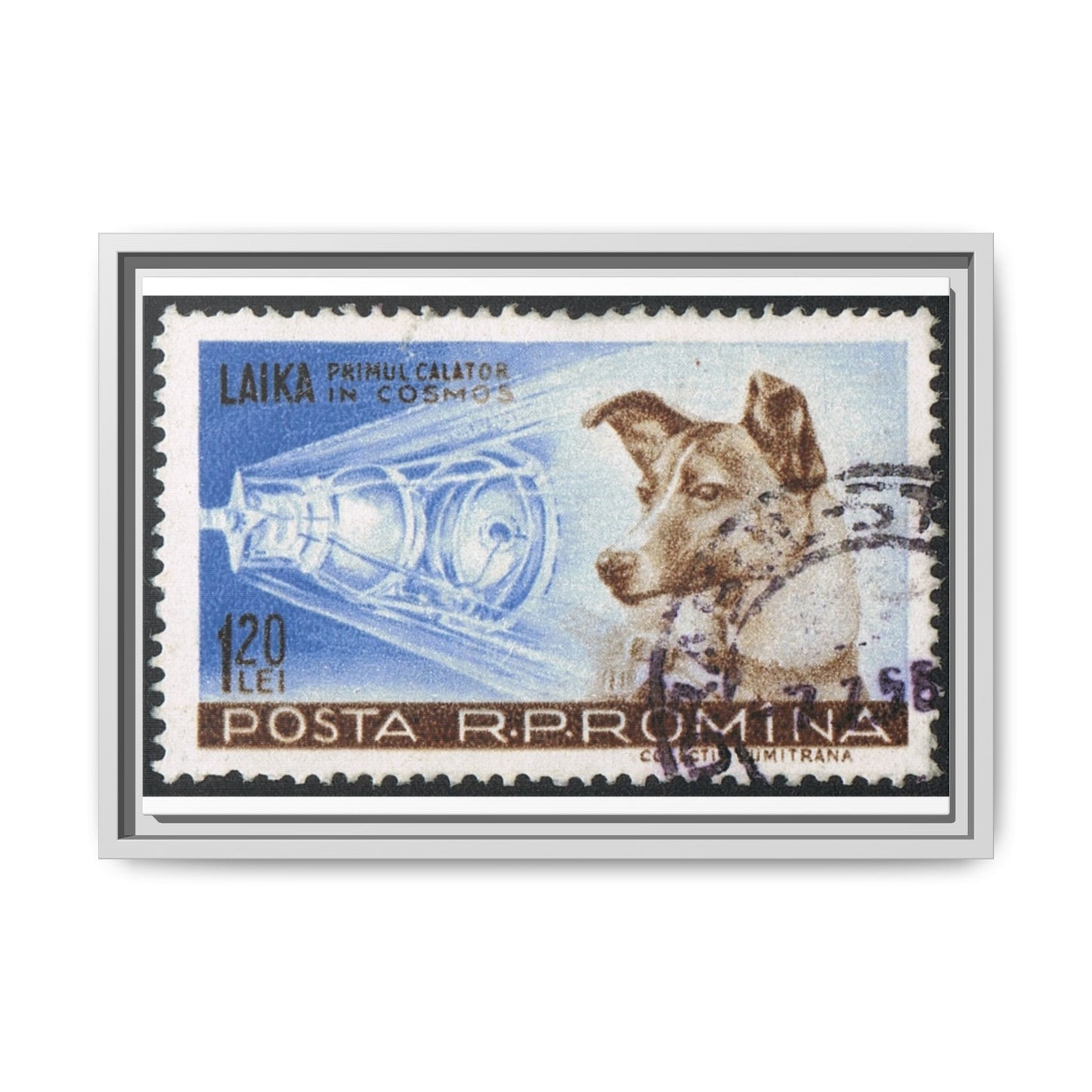 Laika Postcard Stamp Frame: A Tribute to the First Space Pioneer!