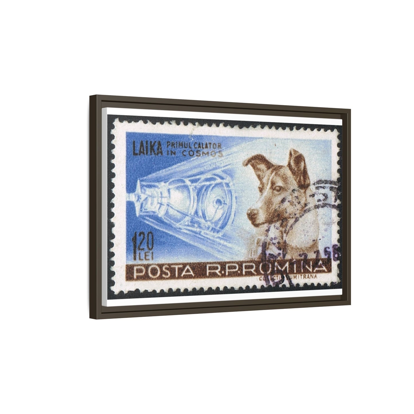 Laika Postcard Stamp Frame: A Tribute to the First Space Pioneer!