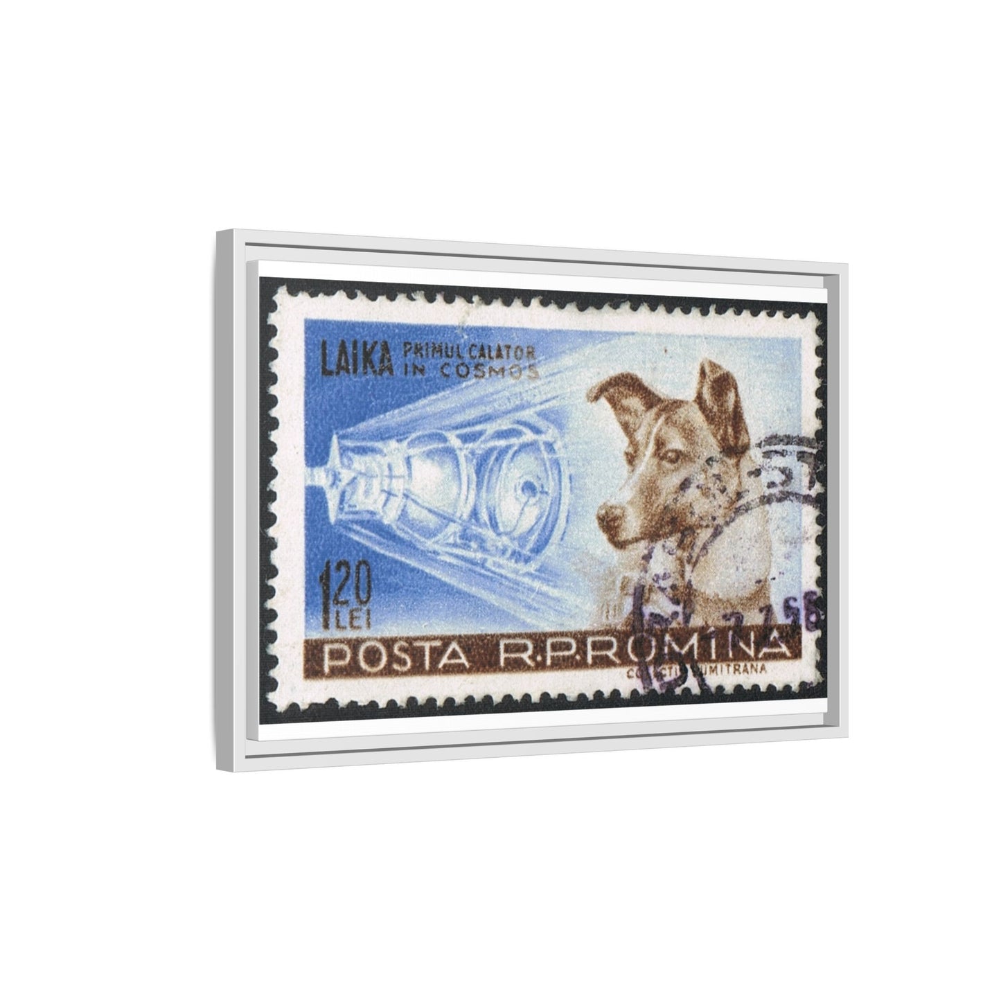 Laika Postcard Stamp Frame: A Tribute to the First Space Pioneer!