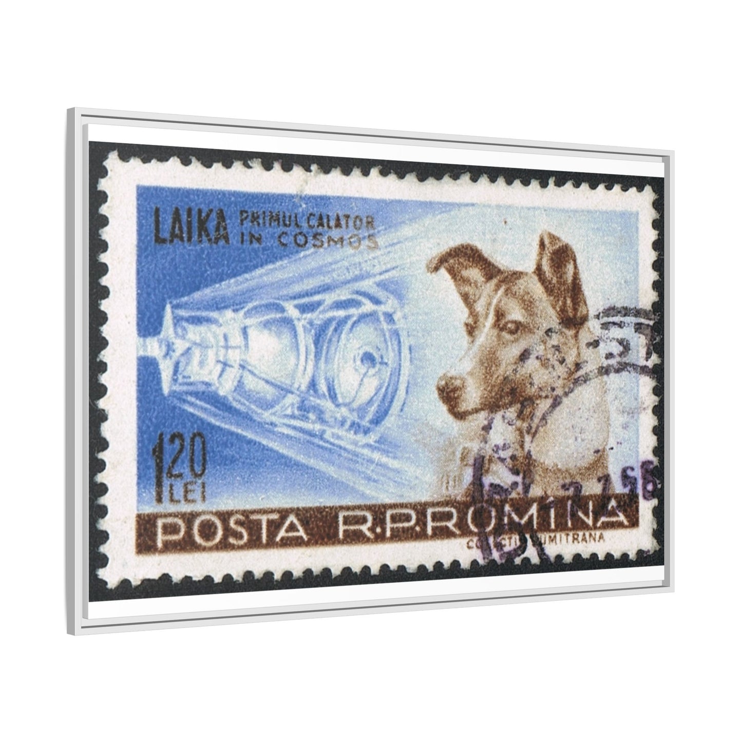 Laika Postcard Stamp Frame: A Tribute to the First Space Pioneer!