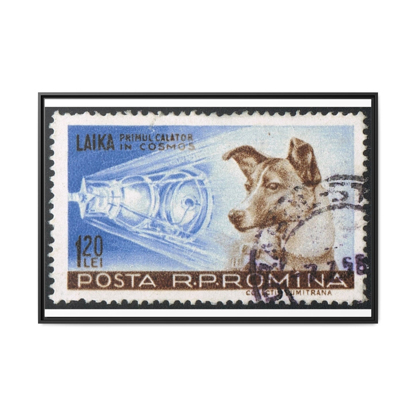 Laika Postcard Stamp Frame: A Tribute to the First Space Pioneer!