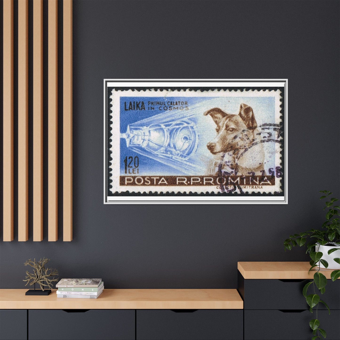 Laika Postcard Stamp Frame: A Tribute to the First Space Pioneer!
