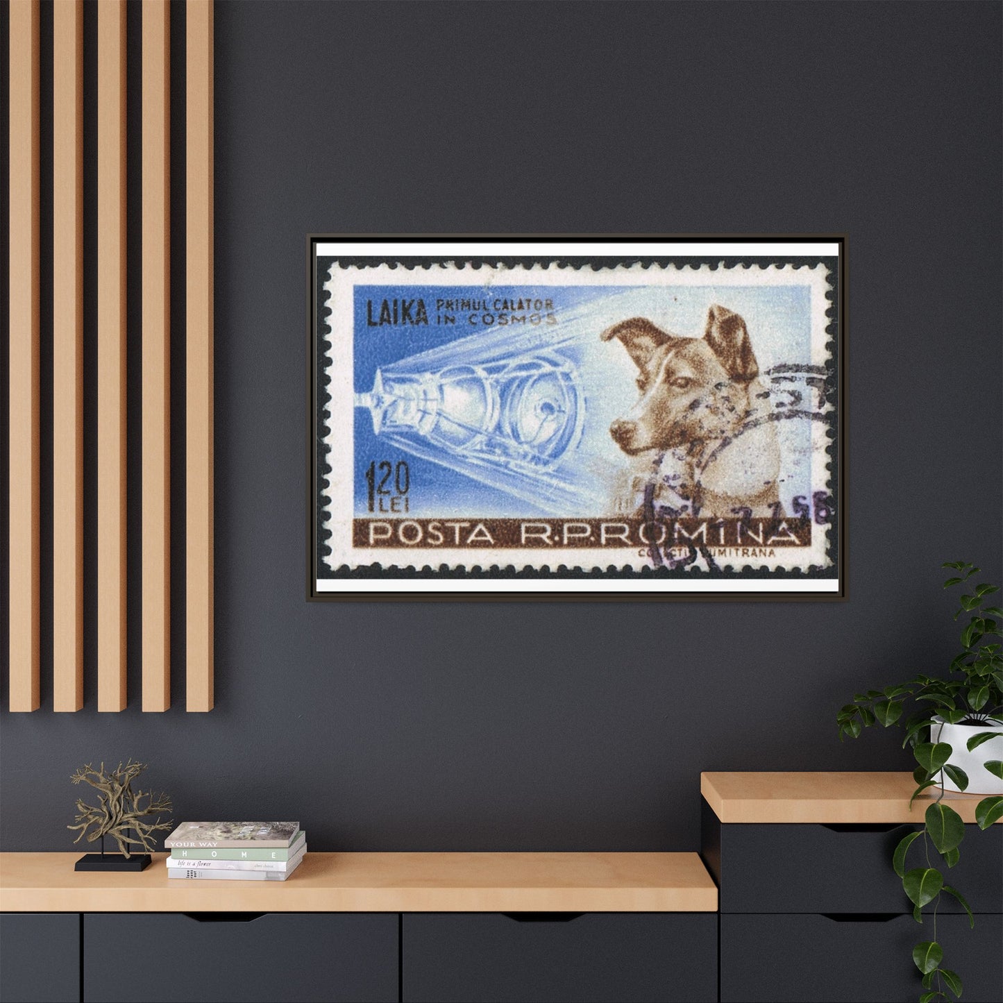 Laika Postcard Stamp Frame: A Tribute to the First Space Pioneer!