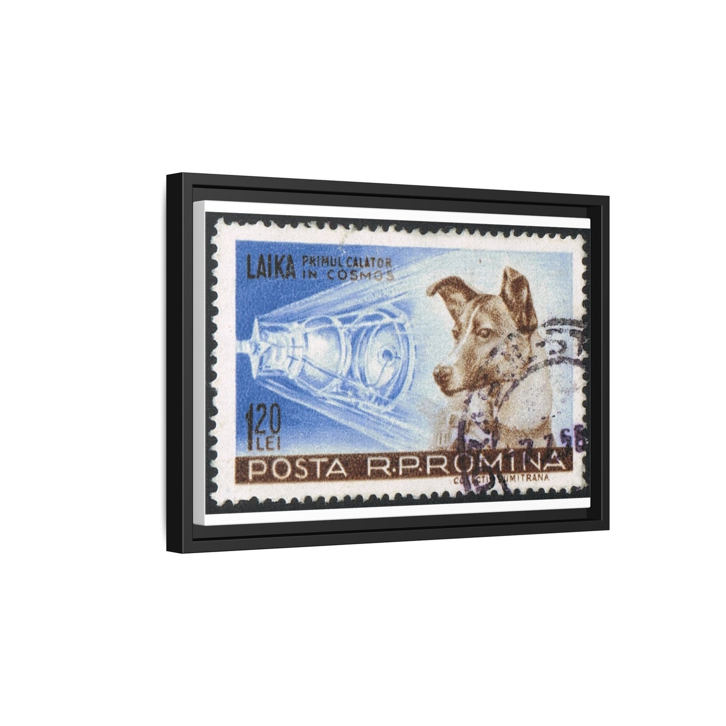 Laika Postcard Stamp Frame: A Tribute to the First Space Pioneer!