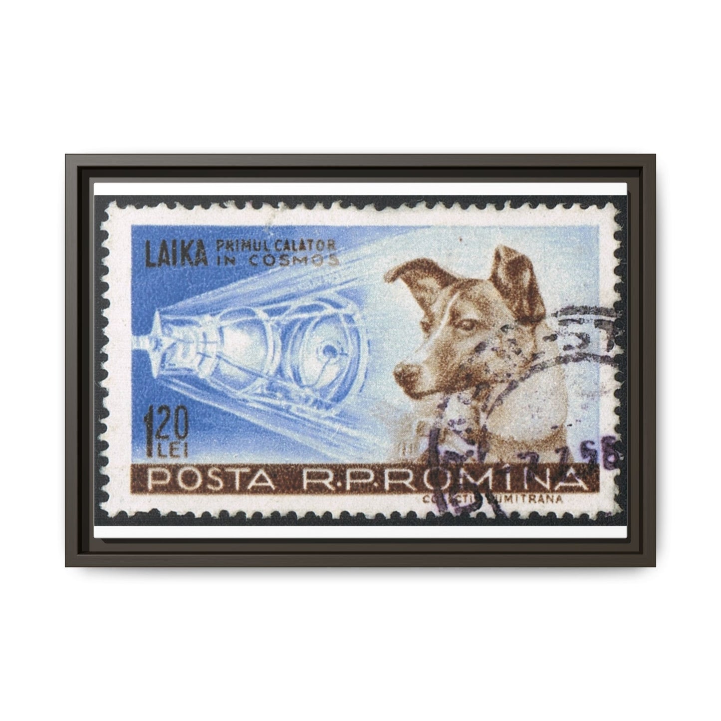 Laika Postcard Stamp Frame: A Tribute to the First Space Pioneer!